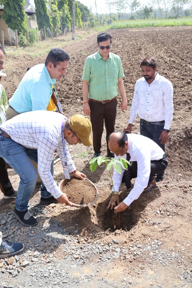 Rubber Plants Corridor was planned and commissioned in Navsari Agricultural University by the Hon’ble Vice-Chancellor Dr. Z. P. Patel on April 02, 2024.