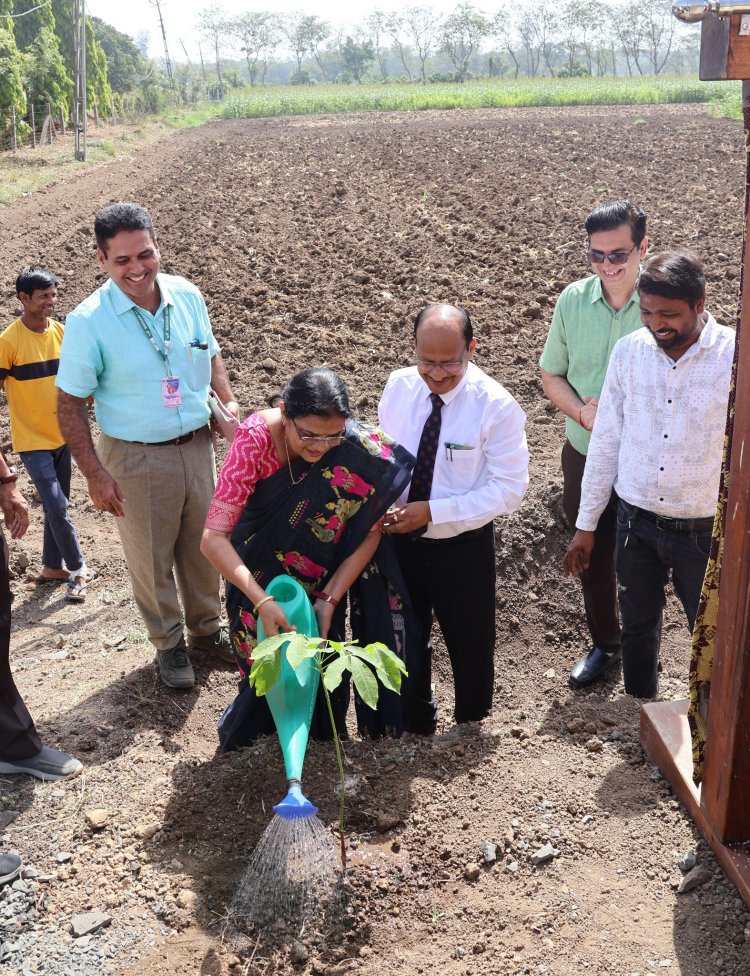 Rubber Plants Corridor was planned and commissioned in Navsari Agricultural University by the Hon’ble Vice-Chancellor Dr. Z. P. Patel on April 02, 2024.