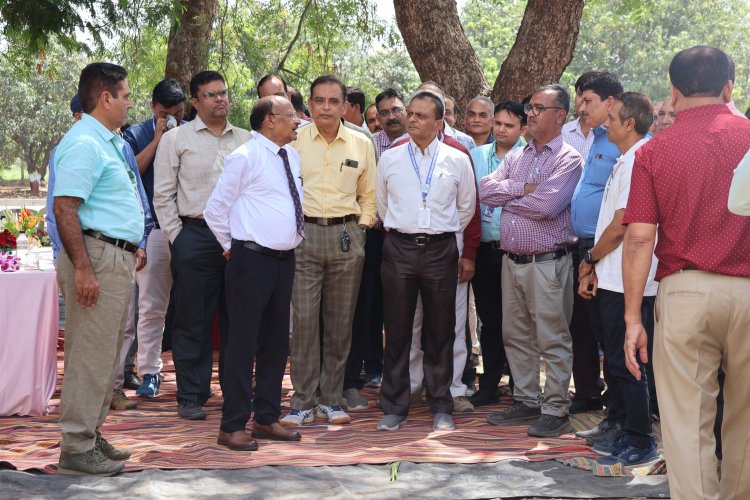 Rubber Plants Corridor was planned and commissioned in Navsari Agricultural University by the Hon’ble Vice-Chancellor Dr. Z. P. Patel on April 02, 2024.