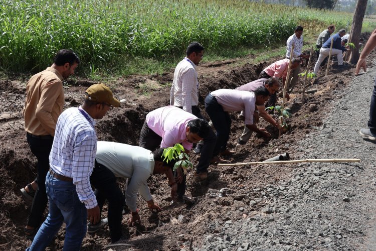 Rubber Plants Corridor was planned and commissioned in Navsari Agricultural University by the Hon’ble Vice-Chancellor Dr. Z. P. Patel on April 02, 2024.