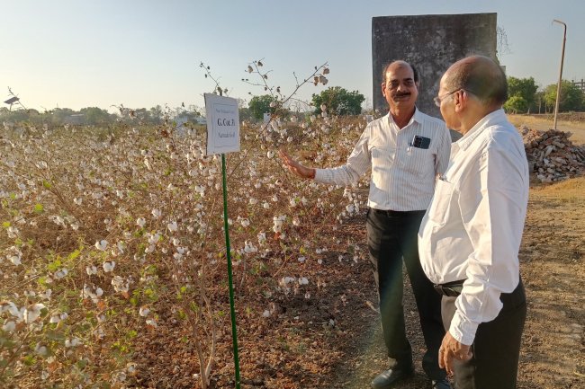 Hon’ble Vice Chancellor Dr. Z. P. Patel visited Regional Cotton Research Station, Bharuch on April 23, 2024 along with Dr. V. A. Solanki, Member of Academic Council