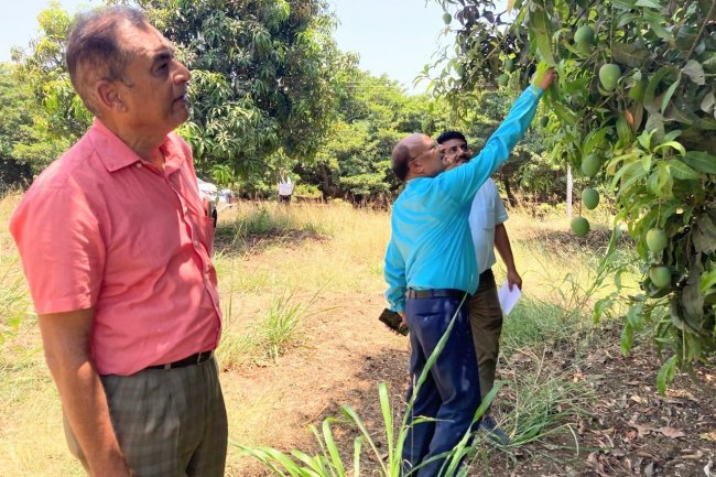 Hon’ble Vice-Chancellor Dr. Z. P. Patel along with Dr. Vikas Naik, ADR visited the Agricultural Experimental Station (AES), Paria on May 09, 2024.