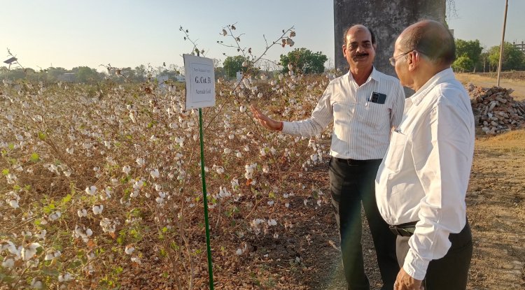 Hon’ble Vice Chancellor Dr. Z. P. Patel visited Regional Cotton Research Station, Bharuch on April 23, 2024 along with Dr. V. A. Solanki, Member of Academic Council