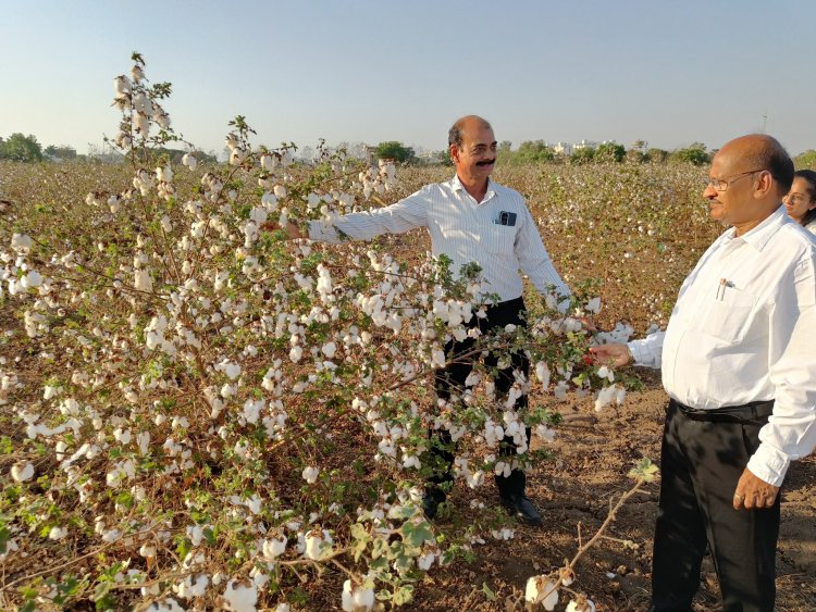 Hon’ble Vice Chancellor Dr. Z. P. Patel visited Regional Cotton Research Station, Bharuch on April 23, 2024 along with Dr. V. A. Solanki, Member of Academic Council