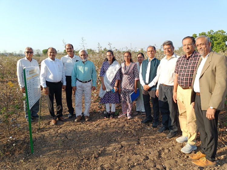 Hon’ble Vice Chancellor Dr. Z. P. Patel visited Regional Cotton Research Station, Bharuch on April 23, 2024 along with Dr. V. A. Solanki, Member of Academic Council