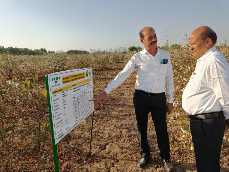 Hon’ble Vice Chancellor Dr. Z. P. Patel visited Regional Cotton Research Station, Bharuch on April 23, 2024 along with Dr. V. A. Solanki, Member of Academic Council