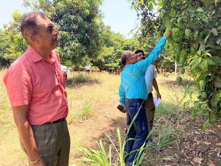 Hon’ble Vice-Chancellor Dr. Z. P. Patel along with Dr. Vikas Naik, ADR visited the Agricultural Experimental Station (AES), Paria on May 09, 2024.