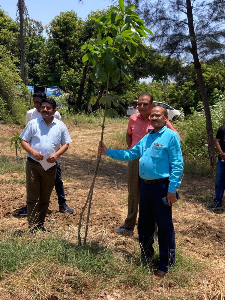 Hon’ble Vice-Chancellor Dr. Z. P. Patel along with Dr. Vikas Naik, ADR visited the Agricultural Experimental Station (AES), Paria on May 09, 2024.