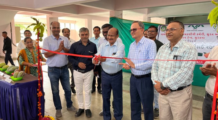 On June 11, 2024, Krishi Vigyan Kendra (KVK), Surat and the Department of Horticulture, Surat jointly organized the "Mango Festival," a dynamic event dedicated to enhance the knowledge and practices in mango cultivation.