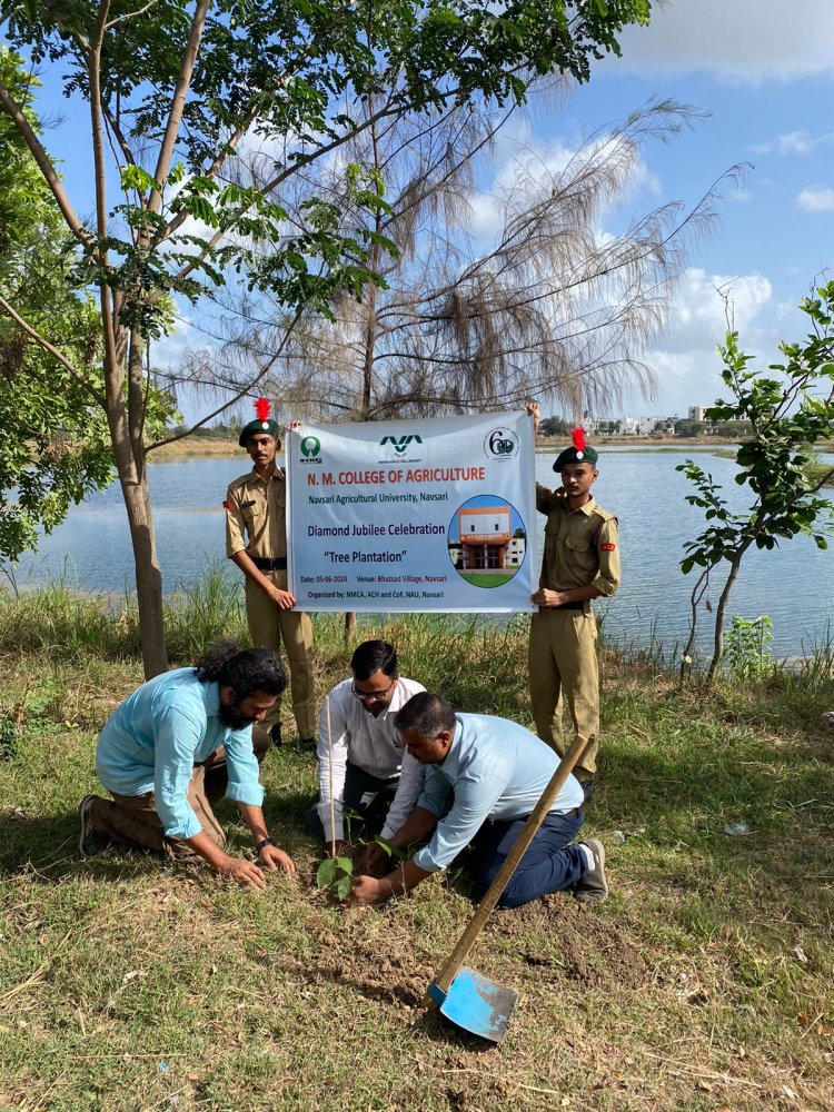 World Environment Day was celebrated by the N. M. College of Agriculture, ASPEE College of Horticulture, and College of Forestry, Navsari through various programs on June 5, 2024.