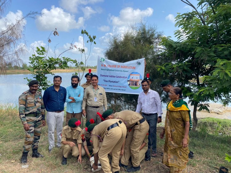 World Environment Day was celebrated by the N. M. College of Agriculture, ASPEE College of Horticulture, and College of Forestry, Navsari through various programs on June 5, 2024.