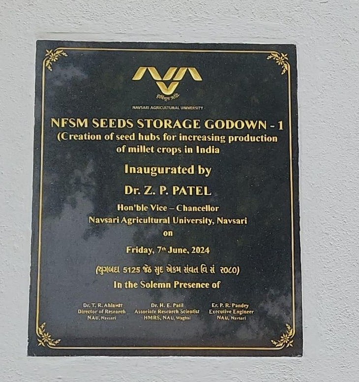 Two new NFSM SEEDS STORAGE GODOWN under Project ‘Creation of seed hubs for increasing production of millet crops in India’, NFSM, New Delhi at Rajendrapur and Rambhas Farm of Hill Millet Research Station (HMRS), Waghai was inaugurated by Hon’ble Vice-Chancellor Dr. Z. P. Patel in the solemn presence of Dr. T. R. Ahlawat, Director of Research