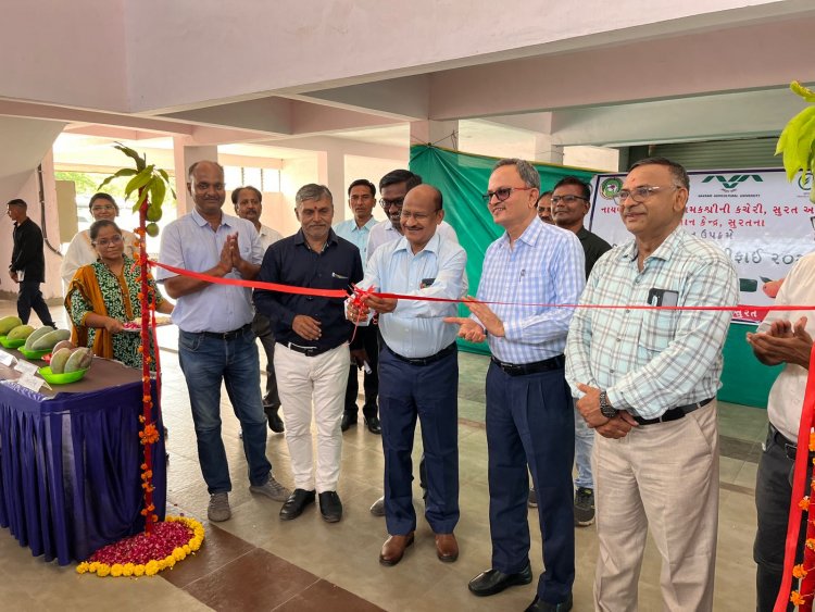 On June 11, 2024, Krishi Vigyan Kendra (KVK), Surat and the Department of Horticulture, Surat jointly organized the "Mango Festival," a dynamic event dedicated to enhance the knowledge and practices in mango cultivation.