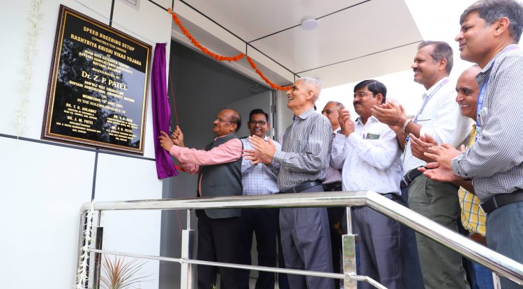 Hon’ble Vice-Chancellor Dr. Z. P. Patel inaugurated the cutting-edge Speed Breeding Setup at Main Rice Research Centre, Navsari on June 19, 2024.