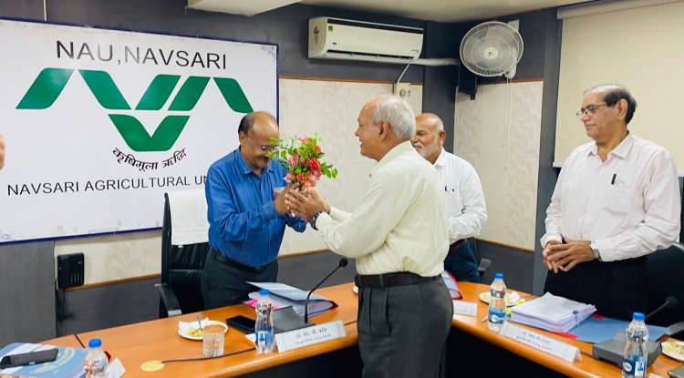 Hon’ble Vice-Chancellor Dr. Z. P. Patel chaired the 59th Construction Committee meeting organized by the Office of the Executive Engineer, NAU on June 28, 2024.