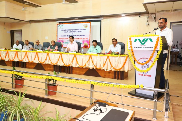 Hon’ble Vice-Chancellor Dr. Z. P. Patel inaugurated the cutting-edge Speed Breeding Setup at Main Rice Research Centre, Navsari on June 19, 2024.