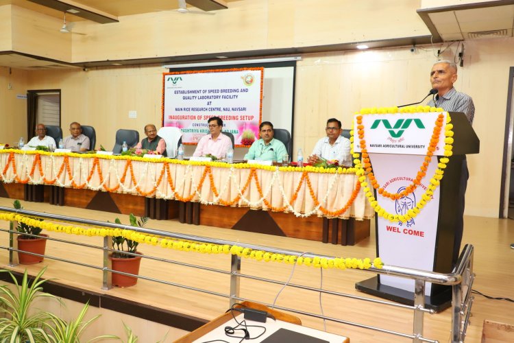 Hon’ble Vice-Chancellor Dr. Z. P. Patel inaugurated the cutting-edge Speed Breeding Setup at Main Rice Research Centre, Navsari on June 19, 2024.