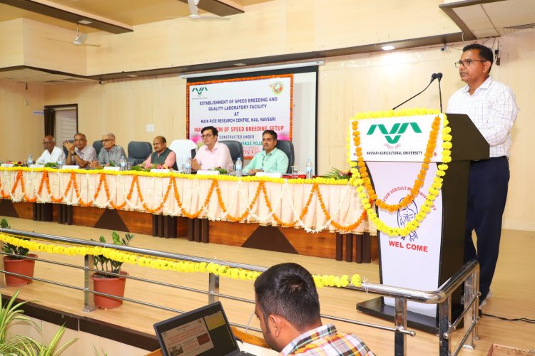 Hon’ble Vice-Chancellor Dr. Z. P. Patel inaugurated the cutting-edge Speed Breeding Setup at Main Rice Research Centre, Navsari on June 19, 2024.