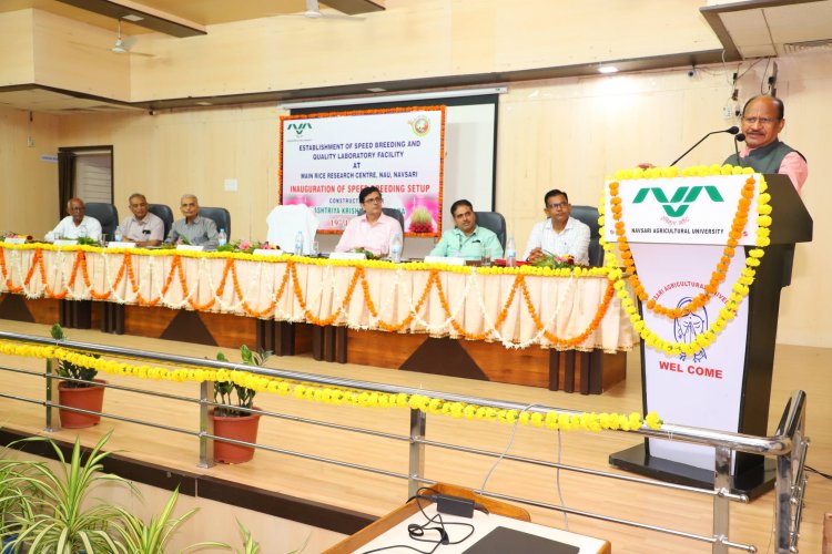 Hon’ble Vice-Chancellor Dr. Z. P. Patel inaugurated the cutting-edge Speed Breeding Setup at Main Rice Research Centre, Navsari on June 19, 2024.