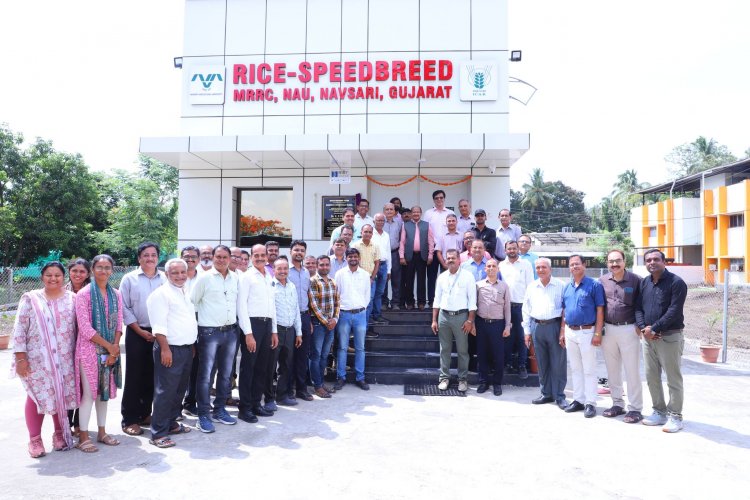 Hon’ble Vice-Chancellor Dr. Z. P. Patel inaugurated the cutting-edge Speed Breeding Setup at Main Rice Research Centre, Navsari on June 19, 2024.