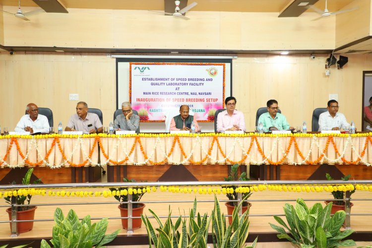 Hon’ble Vice-Chancellor Dr. Z. P. Patel inaugurated the cutting-edge Speed Breeding Setup at Main Rice Research Centre, Navsari on June 19, 2024.