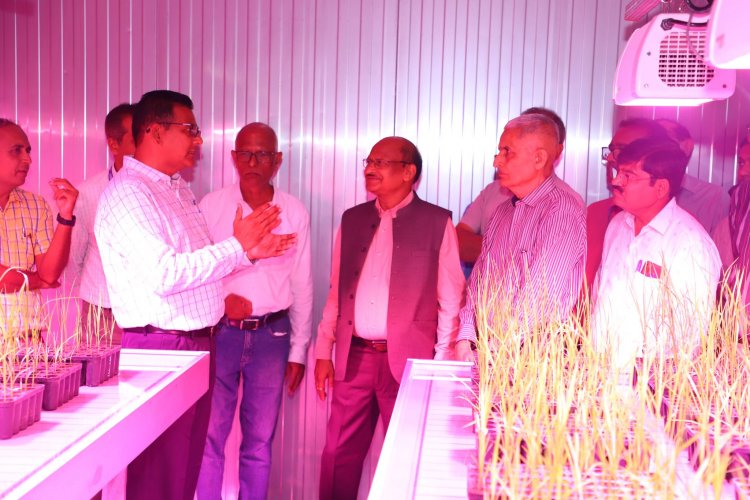 Hon’ble Vice-Chancellor Dr. Z. P. Patel inaugurated the cutting-edge Speed Breeding Setup at Main Rice Research Centre, Navsari on June 19, 2024.