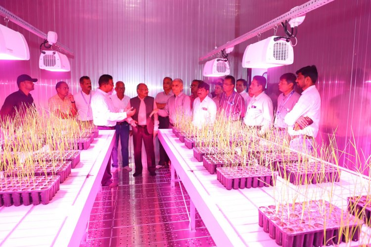 Hon’ble Vice-Chancellor Dr. Z. P. Patel inaugurated the cutting-edge Speed Breeding Setup at Main Rice Research Centre, Navsari on June 19, 2024.