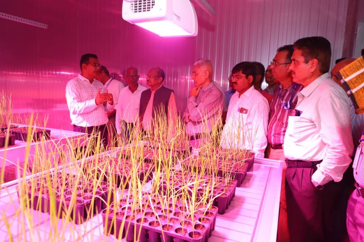 Hon’ble Vice-Chancellor Dr. Z. P. Patel inaugurated the cutting-edge Speed Breeding Setup at Main Rice Research Centre, Navsari on June 19, 2024.