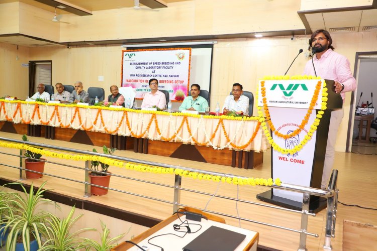 Hon’ble Vice-Chancellor Dr. Z. P. Patel inaugurated the cutting-edge Speed Breeding Setup at Main Rice Research Centre, Navsari on June 19, 2024.