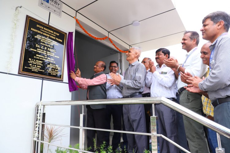 Hon’ble Vice-Chancellor Dr. Z. P. Patel inaugurated the cutting-edge Speed Breeding Setup at Main Rice Research Centre, Navsari on June 19, 2024.