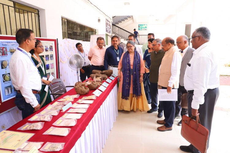 24th Annual Group Meeting of AICRP on Tuber Crops, organized by the AICRP on Tuber Crops, ASPEE College of Horticulture, Navsari was held at NAU during June 25-27, 2024.