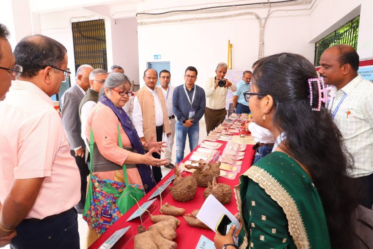 24th Annual Group Meeting of AICRP on Tuber Crops, organized by the AICRP on Tuber Crops, ASPEE College of Horticulture, Navsari was held at NAU during June 25-27, 2024.