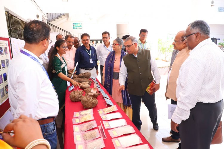 24th Annual Group Meeting of AICRP on Tuber Crops, organized by the AICRP on Tuber Crops, ASPEE College of Horticulture, Navsari was held at NAU during June 25-27, 2024.