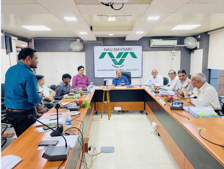 Hon’ble Vice-Chancellor Dr. Z. P. Patel chaired the 59th Construction Committee meeting organized by the Office of the Executive Engineer, NAU on June 28, 2024.