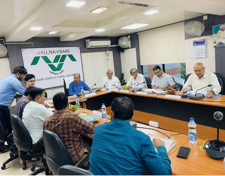 Hon’ble Vice-Chancellor Dr. Z. P. Patel chaired the 59th Construction Committee meeting organized by the Office of the Executive Engineer, NAU on June 28, 2024.