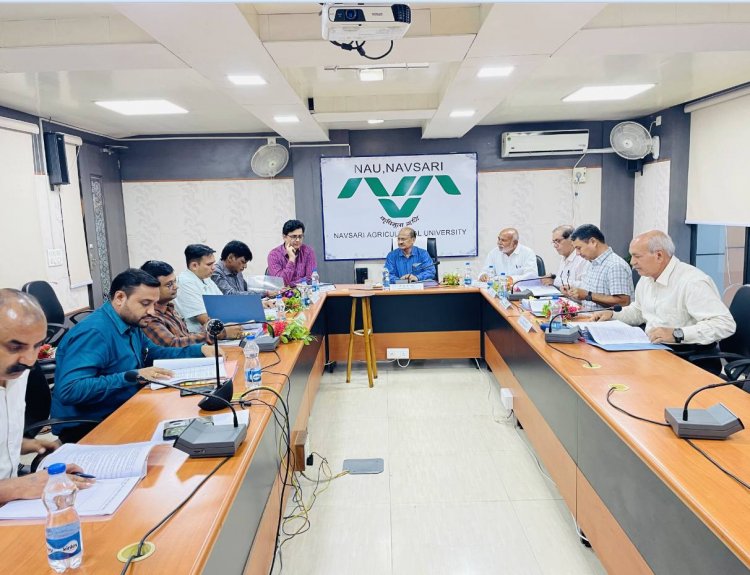 Hon’ble Vice-Chancellor Dr. Z. P. Patel chaired the 59th Construction Committee meeting organized by the Office of the Executive Engineer, NAU on June 28, 2024.