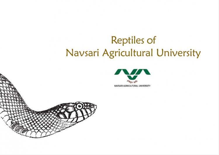 Jyotirmay Ulva, an undergraduate forestry student, has authored three booklets titled “Mammals, Birds & Reptiles of NAU.” These booklets were warmly launched by the Hon’ble Vice-Chancellor Dr. Z. P. Patel.