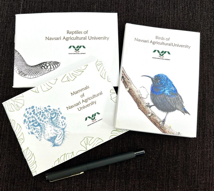 Jyotirmay Ulva, an undergraduate forestry student, has authored three booklets titled “Mammals, Birds & Reptiles of NAU.” These booklets were warmly launched by the Hon’ble Vice-Chancellor Dr. Z. P. Patel.