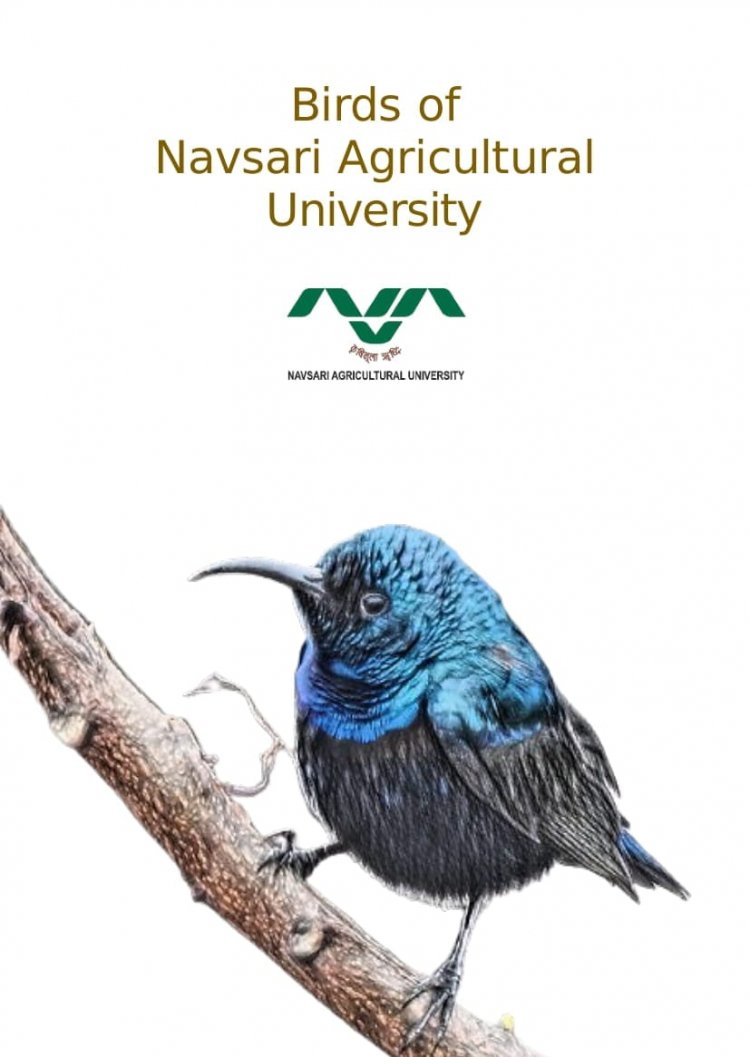 Jyotirmay Ulva, an undergraduate forestry student, has authored three booklets titled “Mammals, Birds & Reptiles of NAU.” These booklets were warmly launched by the Hon’ble Vice-Chancellor Dr. Z. P. Patel.