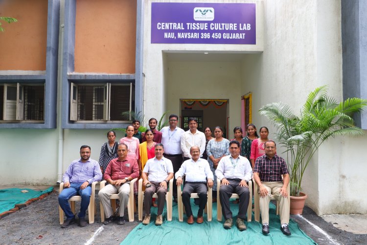 Hon'ble Vice-Chancellor Dr. Z. P. Patel, inaugurated the Central Tissue Culture Lab located at RVKY Building, ASPEE College of Horticulture, Navsari on June 9, 2024.