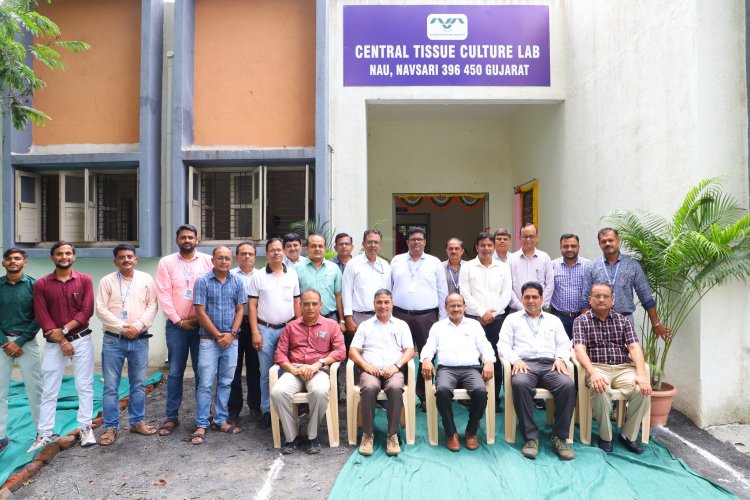 Hon'ble Vice-Chancellor Dr. Z. P. Patel, inaugurated the Central Tissue Culture Lab located at RVKY Building, ASPEE College of Horticulture, Navsari on June 9, 2024.