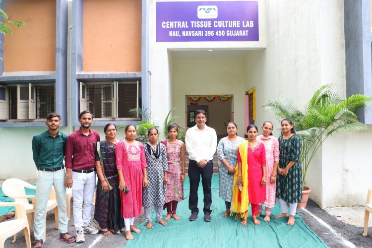 Hon'ble Vice-Chancellor Dr. Z. P. Patel, inaugurated the Central Tissue Culture Lab located at RVKY Building, ASPEE College of Horticulture, Navsari on June 9, 2024.