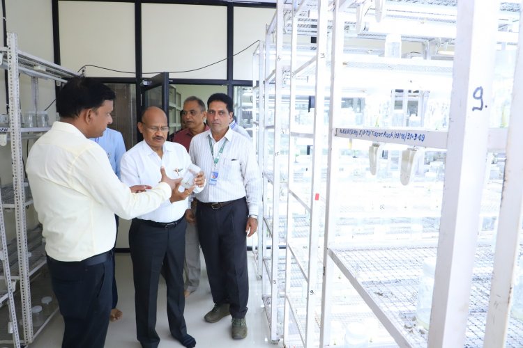 Hon'ble Vice-Chancellor Dr. Z. P. Patel, inaugurated the Central Tissue Culture Lab located at RVKY Building, ASPEE College of Horticulture, Navsari on June 9, 2024.