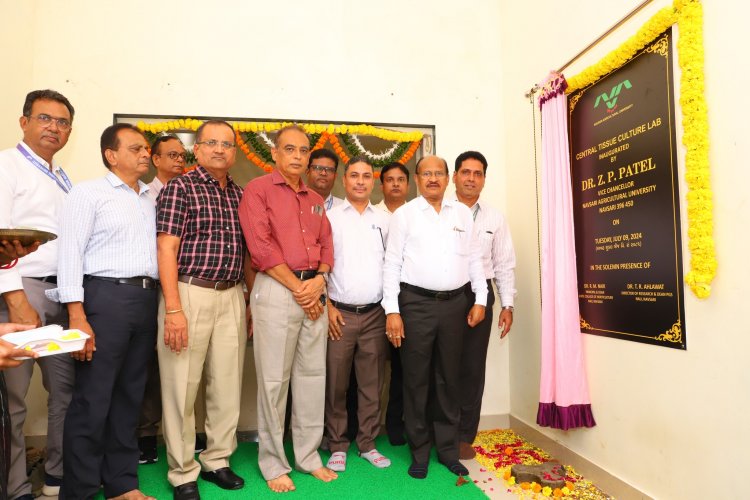 Hon'ble Vice-Chancellor Dr. Z. P. Patel, inaugurated the Central Tissue Culture Lab located at RVKY Building, ASPEE College of Horticulture, Navsari on June 9, 2024.