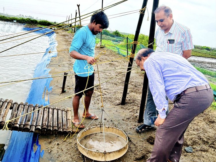 Hon'ble Vice-Chancellor Dr. Z. P. Patel visited Coastal Soil Salinity Research Station, Danti along with Dr. V. R. Naik, Associate Director of Research.