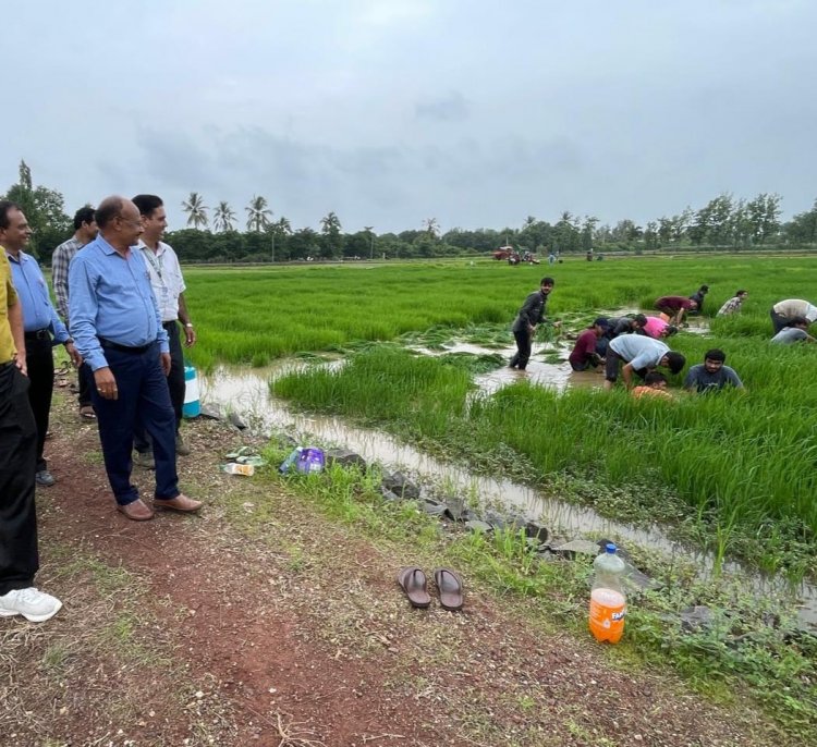 Hon'ble Vice-Chancellor Dr. Z. P. Patel along with Prof. J. R. Naik, DSW; Dr. R. M. Naik, Principal & Dean, NMCA and Dr. H. M. Virdia, Head, Department of Agronomy, NMCA visited Practical Crop Production farm of Department on July 15, 2024.