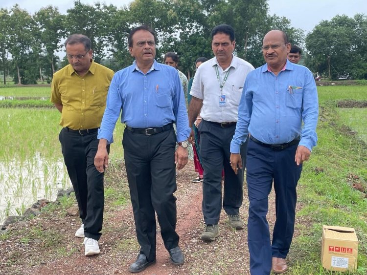 Hon'ble Vice-Chancellor Dr. Z. P. Patel along with Prof. J. R. Naik, DSW; Dr. R. M. Naik, Principal & Dean, NMCA and Dr. H. M. Virdia, Head, Department of Agronomy, NMCA visited Practical Crop Production farm of Department on July 15, 2024.