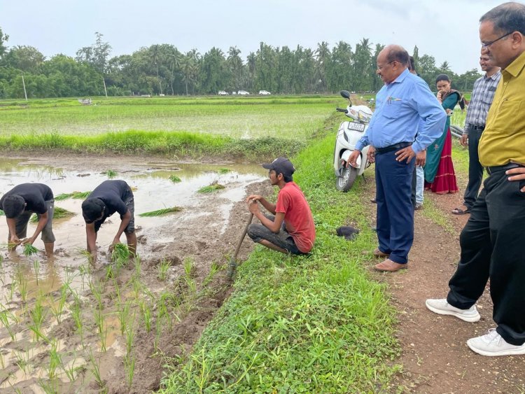 Hon'ble Vice-Chancellor Dr. Z. P. Patel along with Prof. J. R. Naik, DSW; Dr. R. M. Naik, Principal & Dean, NMCA and Dr. H. M. Virdia, Head, Department of Agronomy, NMCA visited Practical Crop Production farm of Department on July 15, 2024.