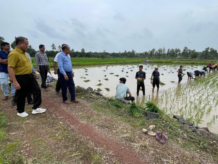 Hon'ble Vice-Chancellor Dr. Z. P. Patel along with Prof. J. R. Naik, DSW; Dr. R. M. Naik, Principal & Dean, NMCA and Dr. H. M. Virdia, Head, Department of Agronomy, NMCA visited Practical Crop Production farm of Department on July 15, 2024.