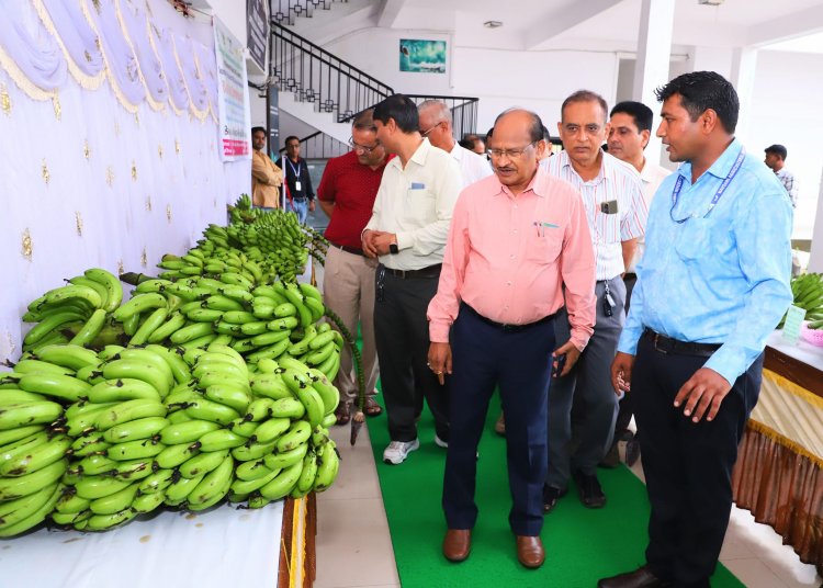 "Biodiversity is the key for developing variety of desirable traits in any fruit crops” underlined by Hon'ble Vice-Chancellor Dr. Z. P. Patel, during the inauguration of “Banana Biodiversity Fair cum Farmer Scientist interaction” on July 12, 2024  at Department of Fruit Science, ASPEE College of Horticulture, Navsari.